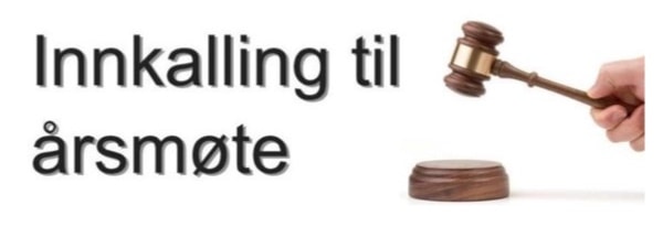 Årlig møte